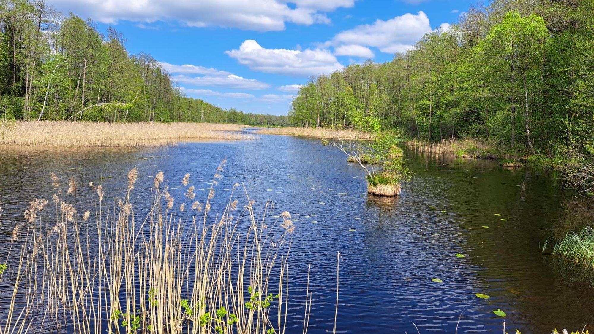 Nasze Podlasie, Domek W Dubiczach Cerkiewnych Dubicze Cerkiewne Exteriör bild